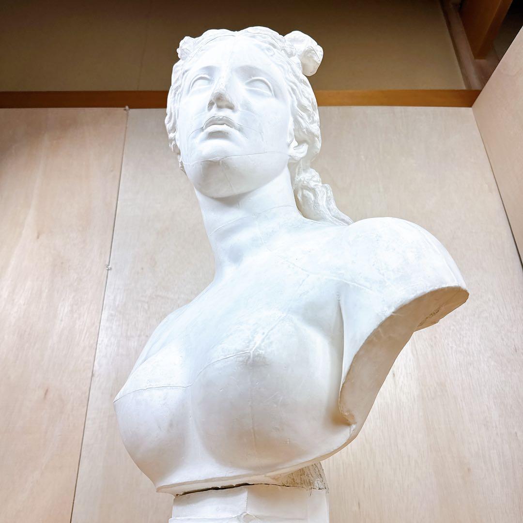石膏像 カピトリーノ ヴィーナス 胸像 デッサン 美術 恥じらいのヴィーナス