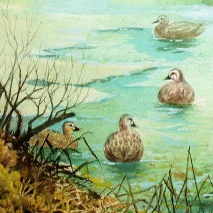 絵画「鴨の池の午後」　水彩画