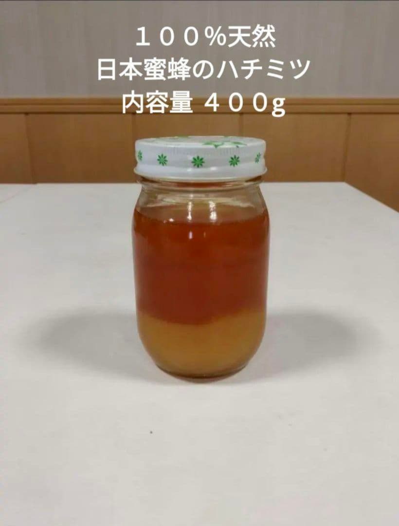 日本蜜蜂の天然ハチミツ　無添加　非加熱 内容量４００g × 3本