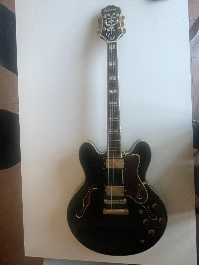 シゲ　Epiphone Sheraton II EB ソフトケース付属