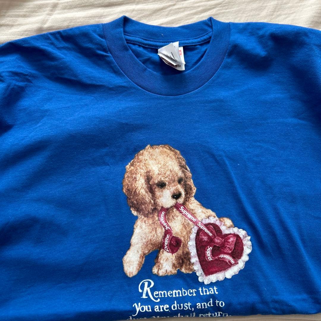 Supreme dusty tee blue Mサイズ