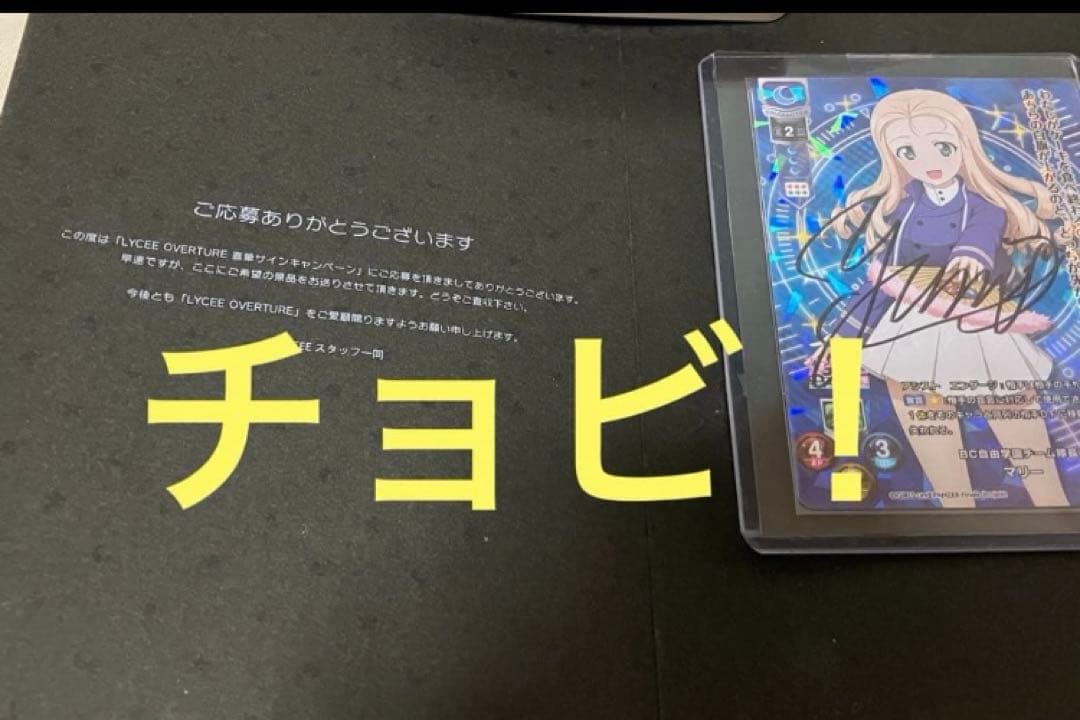 ガールズ＆パンツァー ガルパン 直筆 サイン マリー