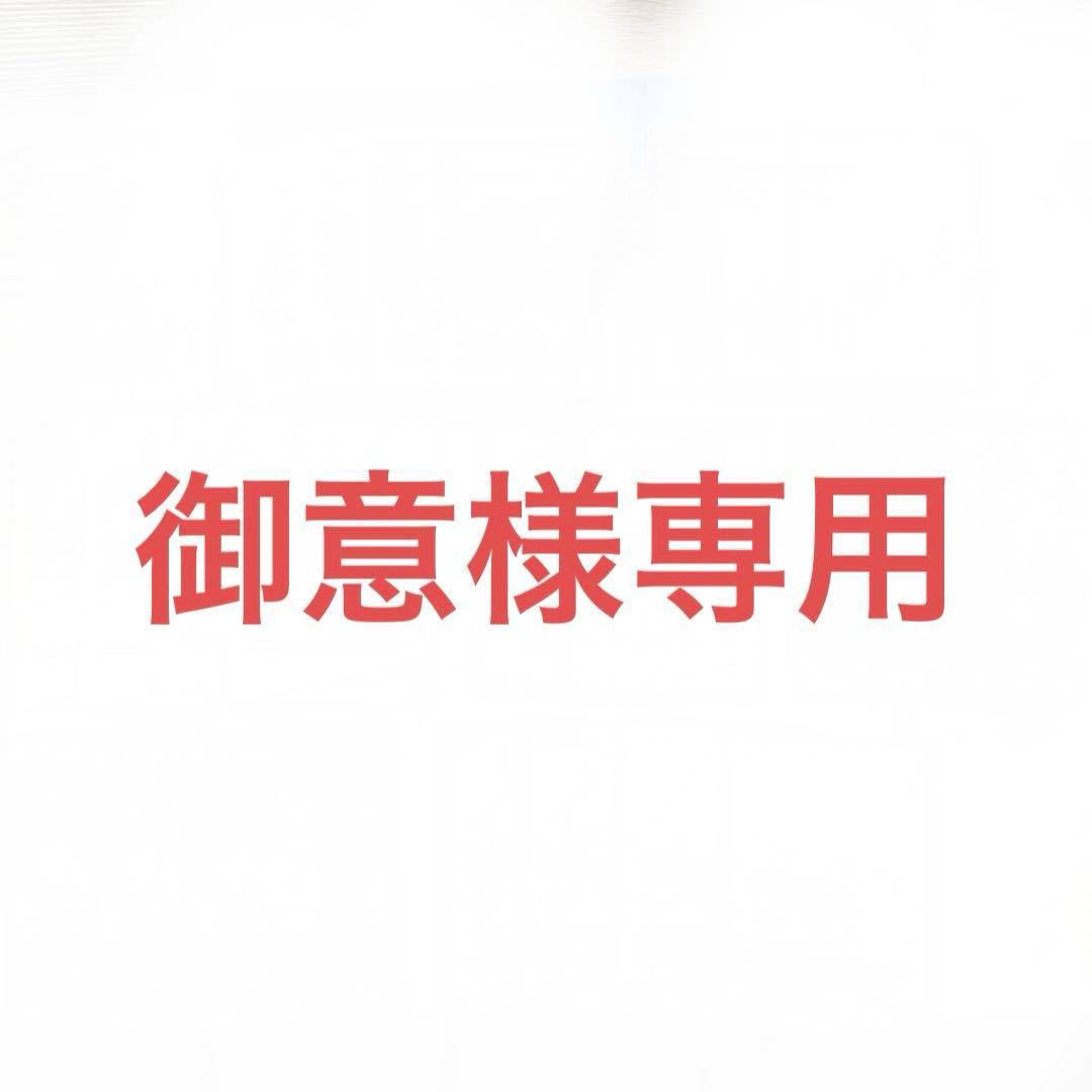 アカシックゾージア　デッキ　引退品