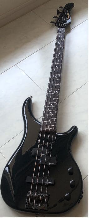 ギター FERNANDES FRB55