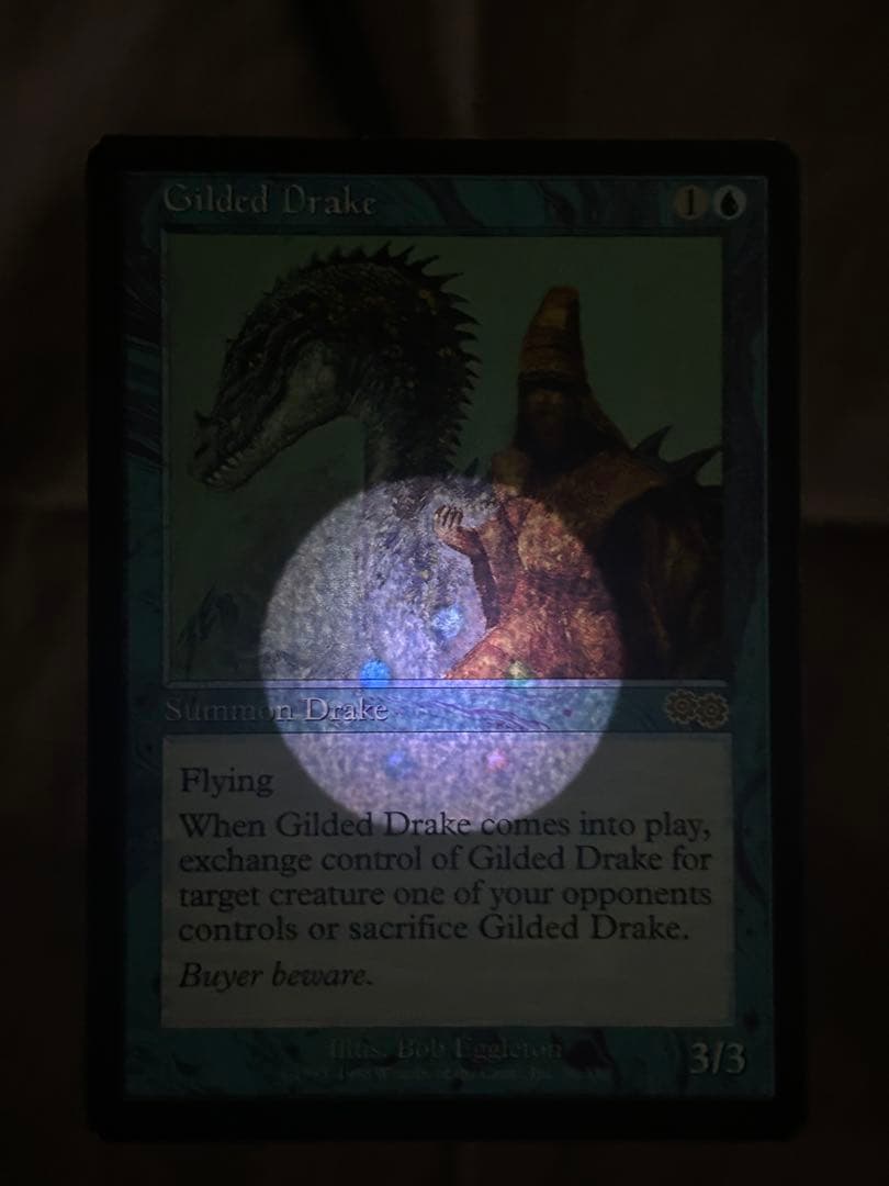 MTG 金粉のドレイク/Gilded Drake 英語版