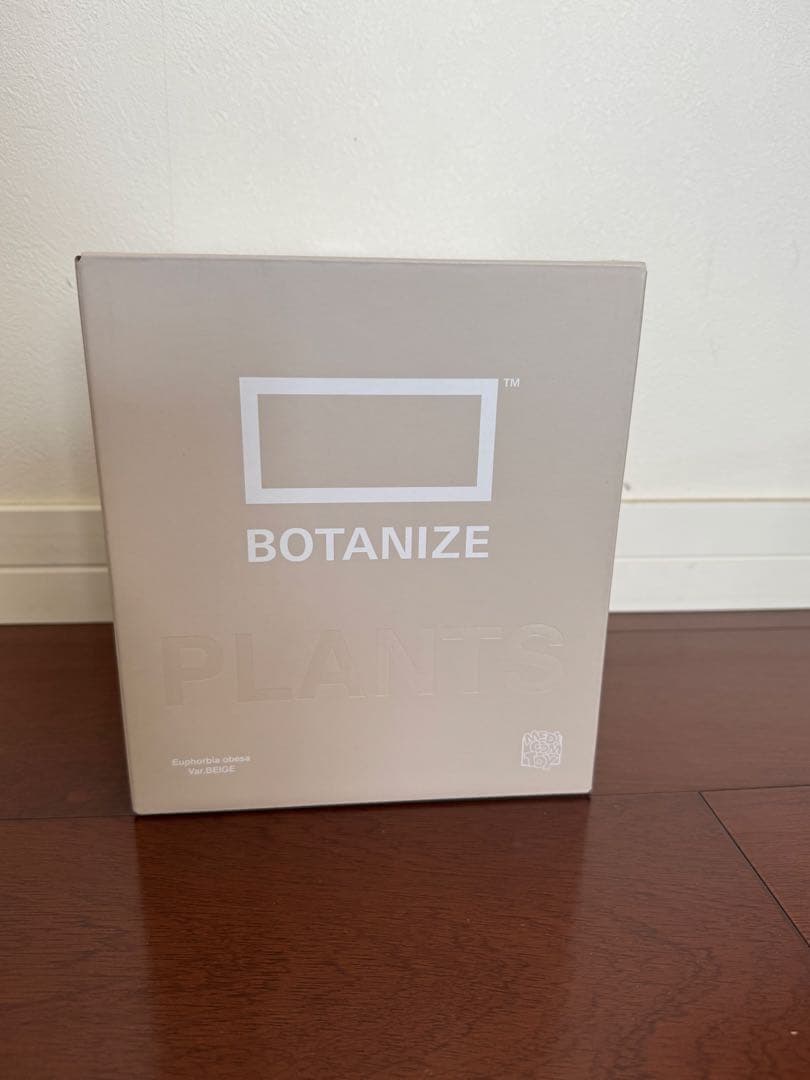 BOTANIZE VCD Euphorbia obesa 2個セット