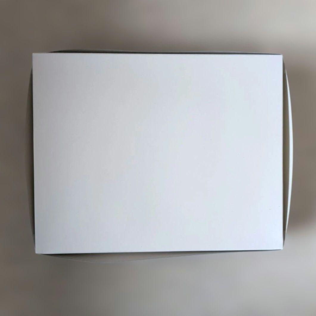 【未組立】MG 1/100 トールギスIII