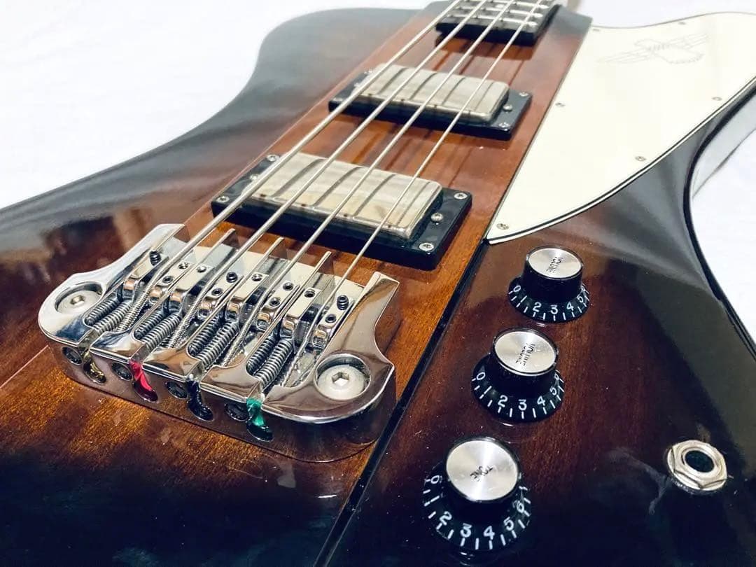 【値引き専用】Epiphone Thunderbird カスタムショップ