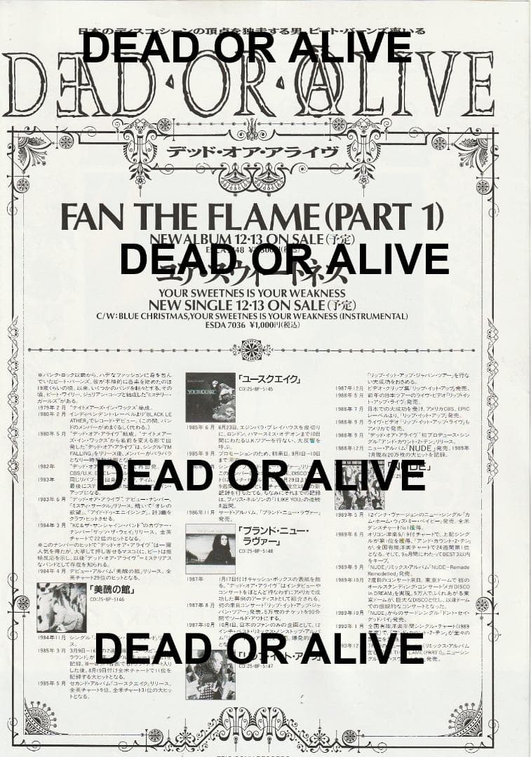デッド・オア・アライヴ　Fan The Flame (Part 1)　宣伝チラシ