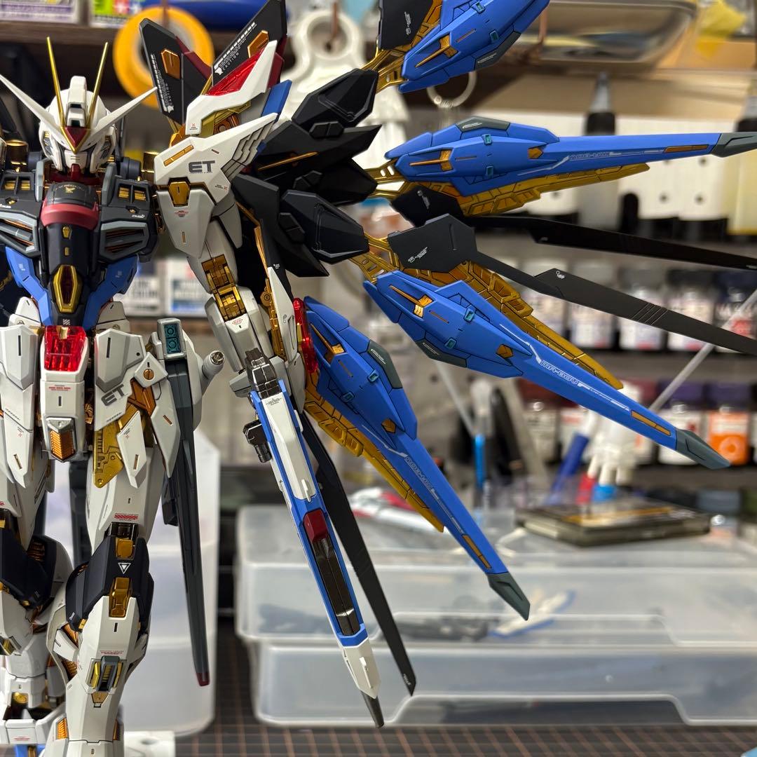 MGEXストライクフリーダムガンダム 全塗装 完成品　正規品