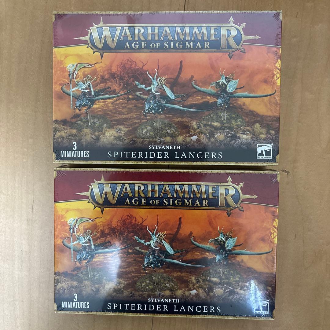 I*i様 WARHAMMER「シルヴァネス レヴェナントシーカー×2」ウォーハン