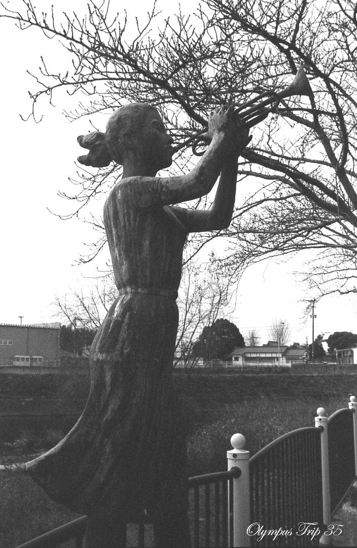 【整備済完動品・赤ベロOK！・フィルム試写済】Olympus Trip 35