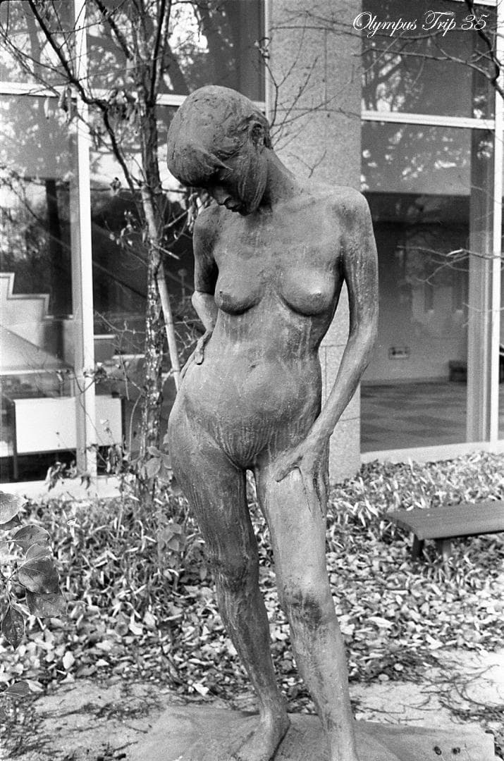 【整備済完動品・赤ベロOK！・フィルム試写済】Olympus Trip 35