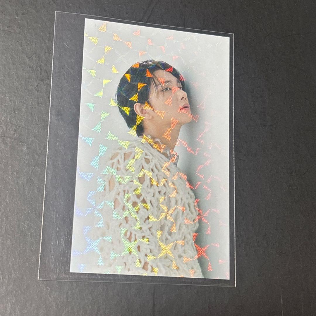 【お値下げ 】ジョシュア　ラキドロ　2枚セット