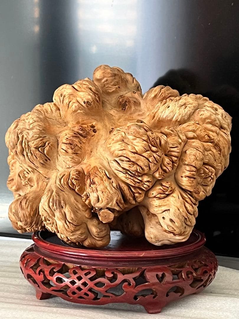 泡瘤 木の瘤 瘤杢 置物