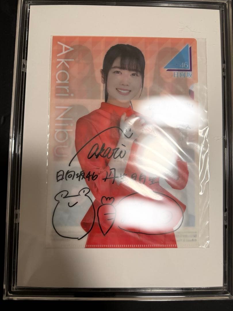 日向坂46 直筆サイン入り　クリアファイル