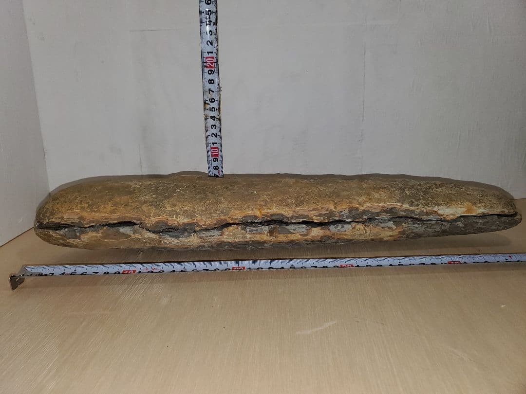 ブラジル産？　魚の化石