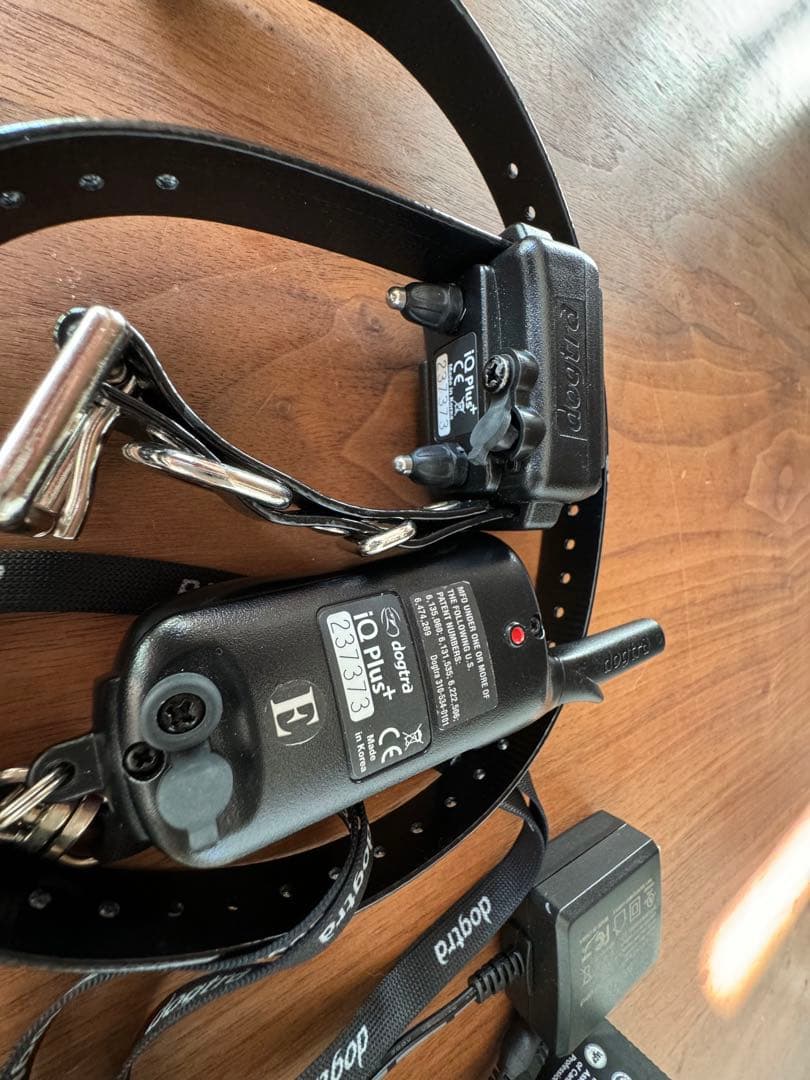 ドッグトラ Dogtra IQ ヤード トレーニング カーラー 小型犬用