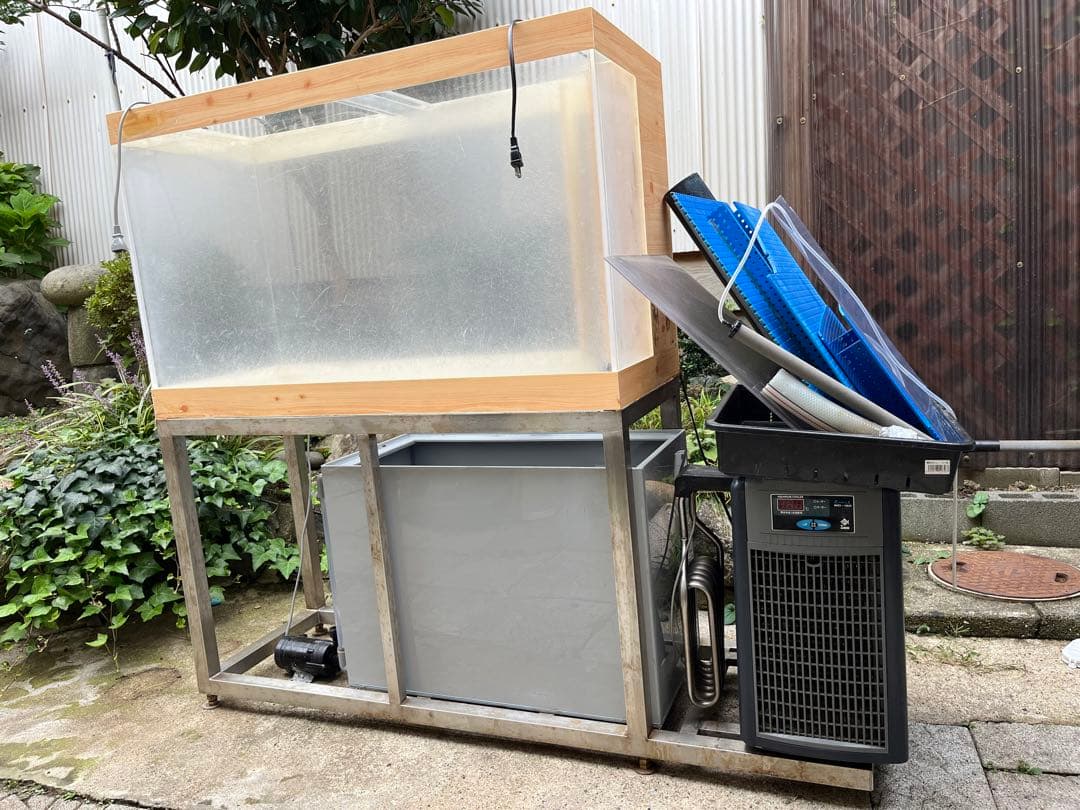 活魚水槽　アクリル水槽