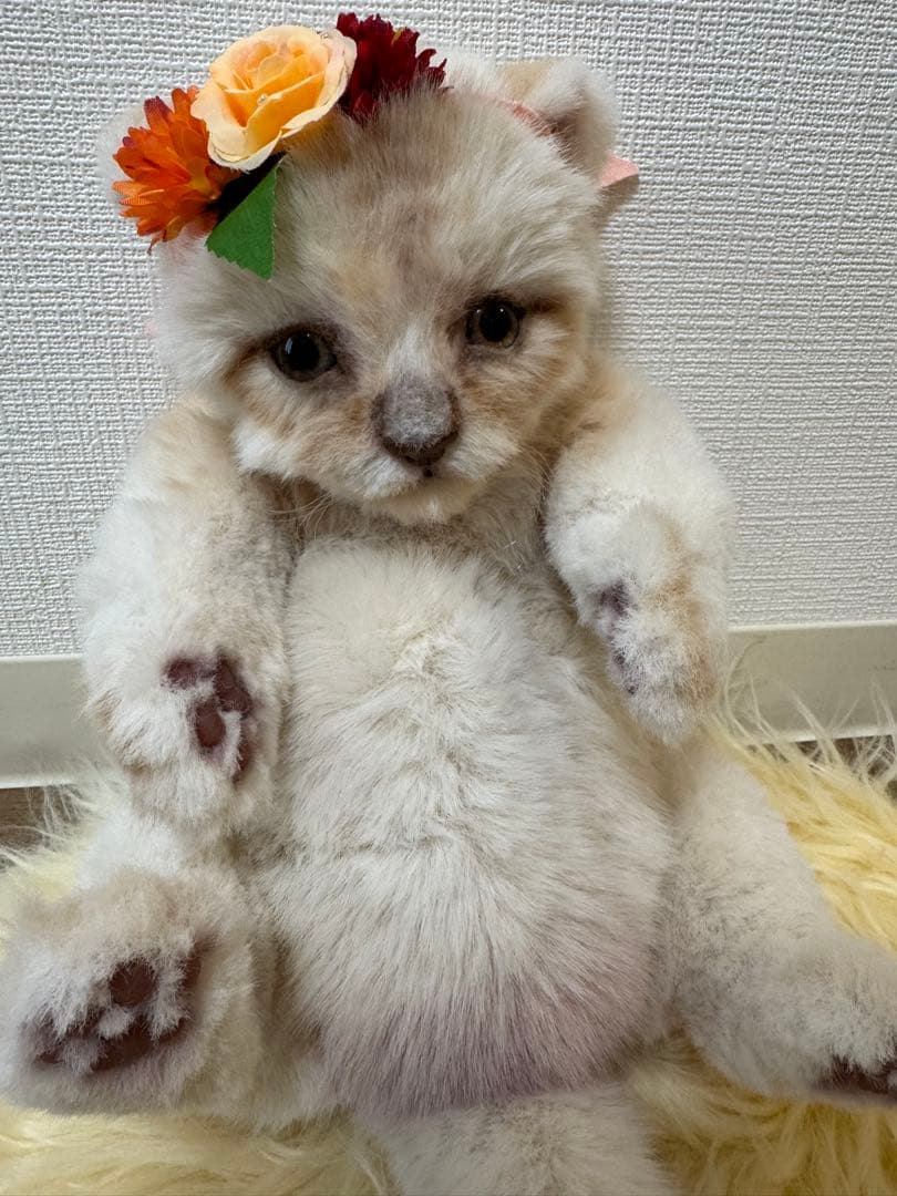 海外作家様作　アートドール　白ライオンの赤ちゃん