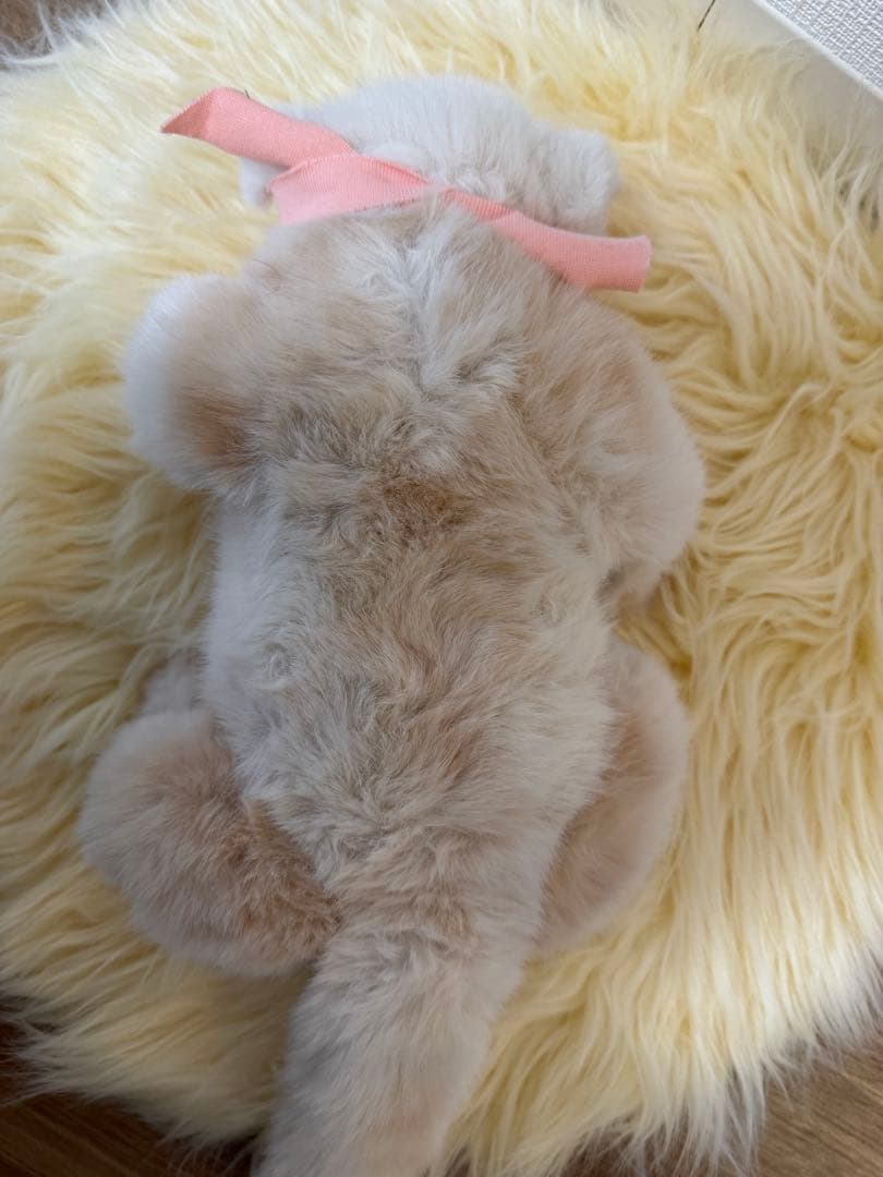 海外作家様作　アートドール　白ライオンの赤ちゃん