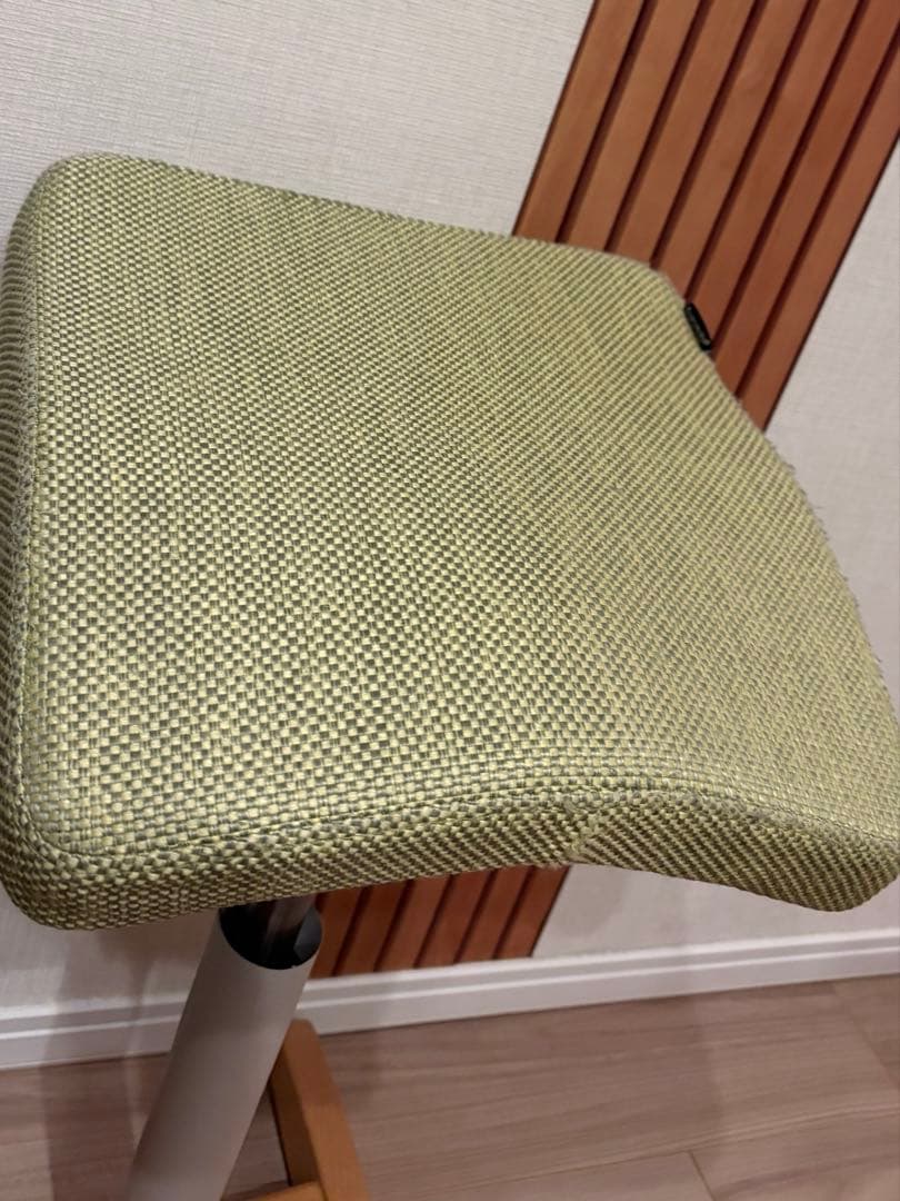 腰痛対策椅子　バランス シナジー　バランスラボ グリーン