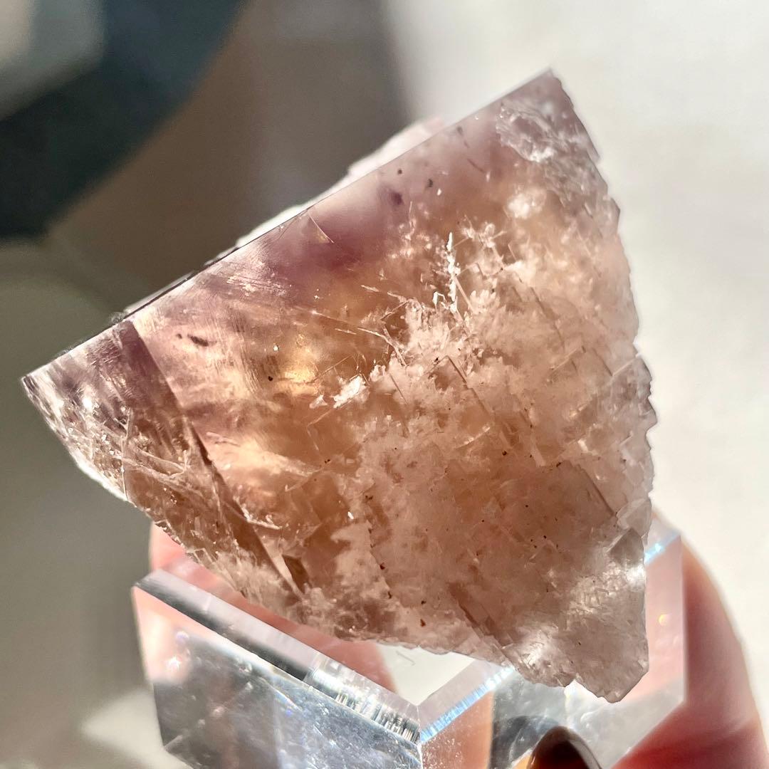 412 イギリス シェリーツインズ フローライト