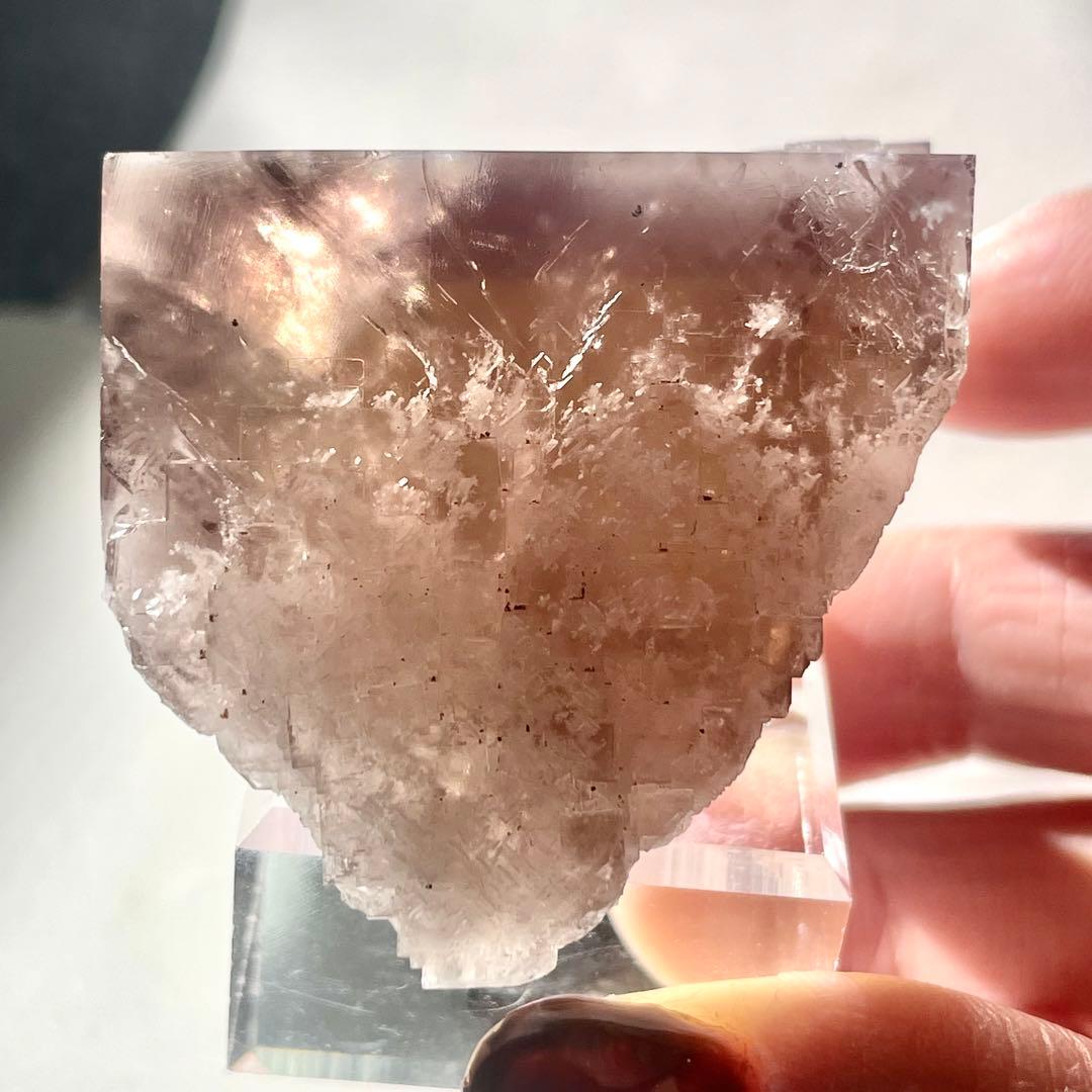 412 イギリス シェリーツインズ フローライト