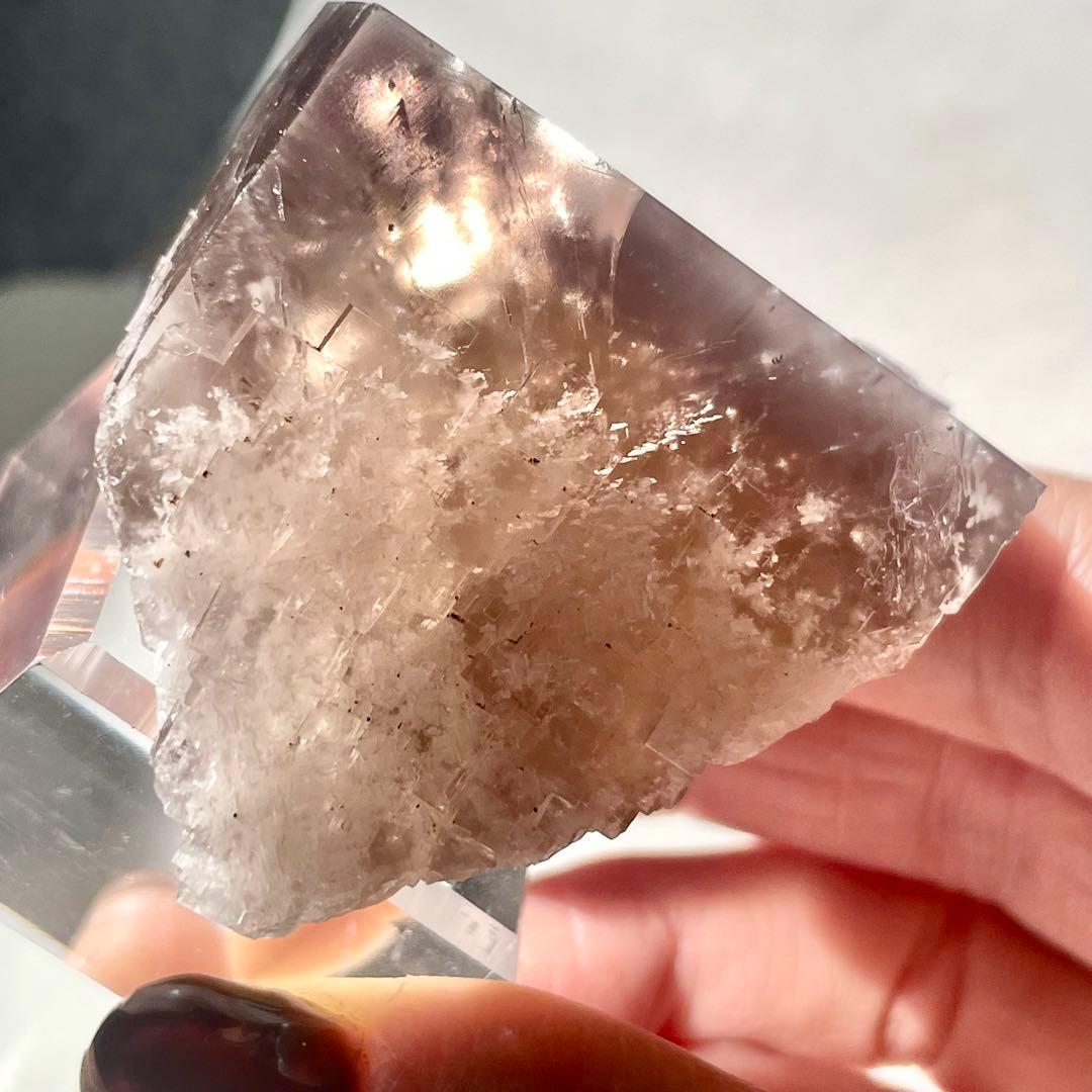 412 イギリス シェリーツインズ フローライト