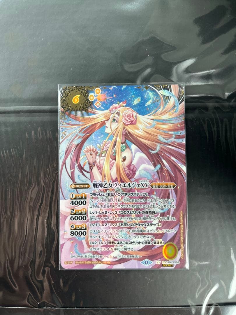 戦神乙女ヴィエルジェxv シークレット