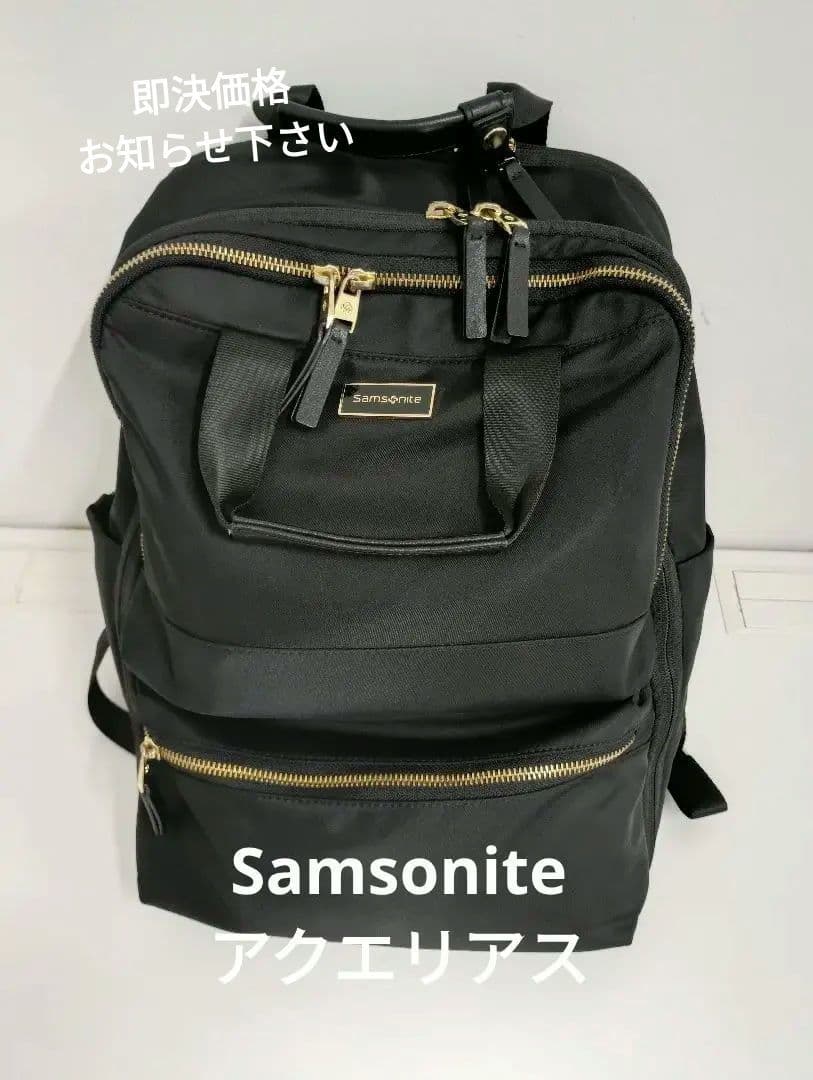 Samsonite サムソナイト アクエリアス バックパック