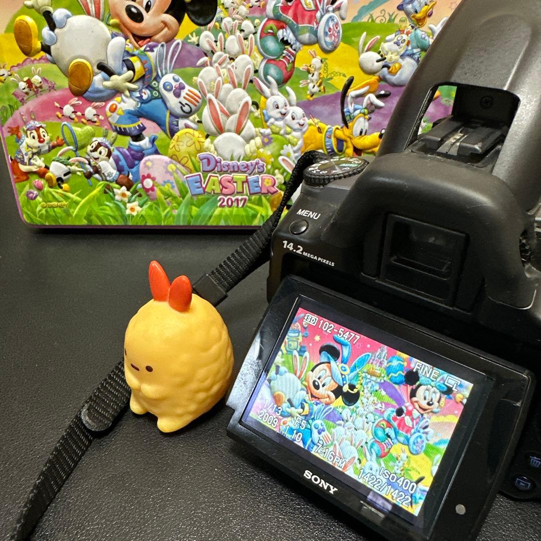 SONY α380 デジタル一眼レフカメラ　動作確認済　レンズセット　中古良品