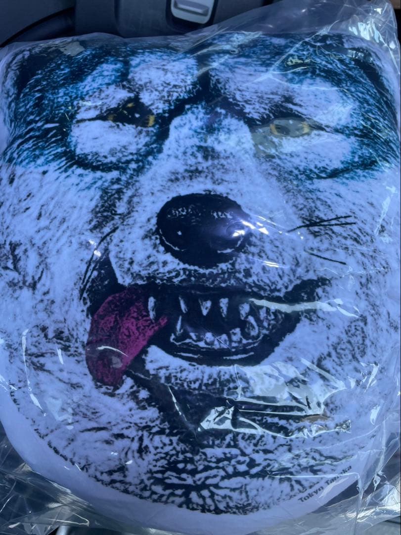 ⭐︎ tagapomu-_- ⭐︎クッションコンプ&マグネットセット