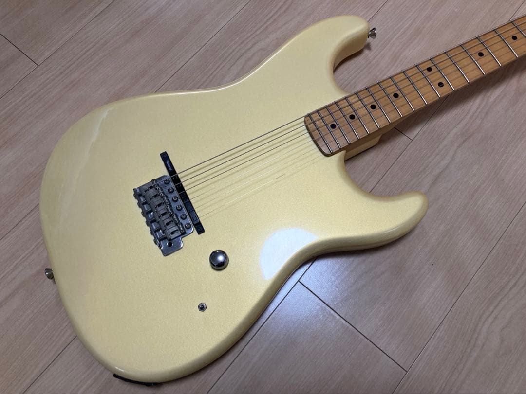 Deviser オーダーGK仕様ストラト　momose bacchus