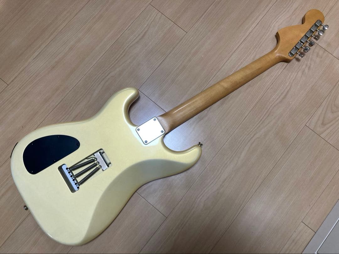 Deviser オーダーGK仕様ストラト　momose bacchus