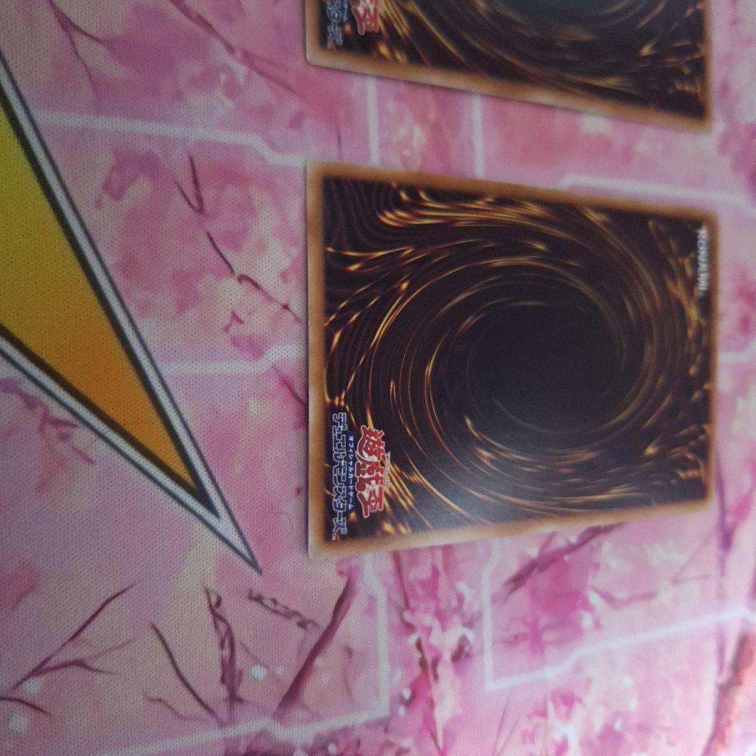 専用 ドラゴンテイル ファイメナ プリズマ