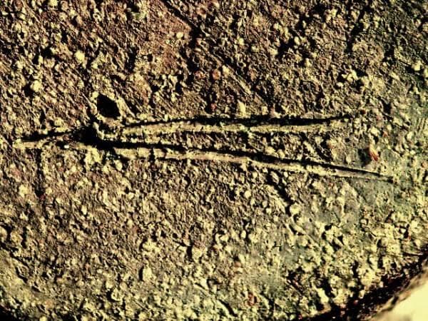 ♥各務周海　信楽　焼締　花器　花瓶　骨董　古玩