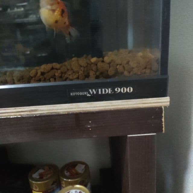 90㌢スリム水槽！台付き☆引き取り限定！