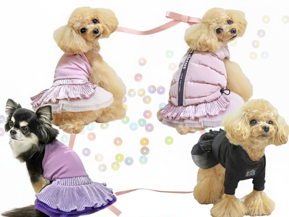 新品タグ付 SWEAT＋SWING スカート２枚サーカスサーカスcircus