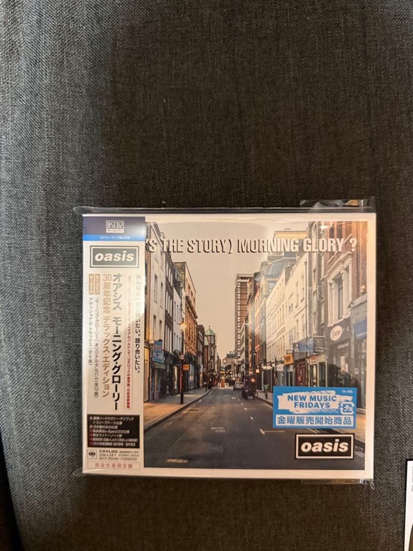 オアシス メモリアルチケット＆クリファイル CD モーニング・グローリー