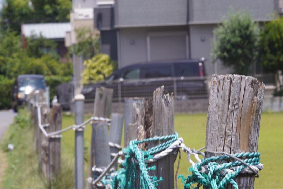 Canon LENS 100mmF2 Lマウント　作例あり