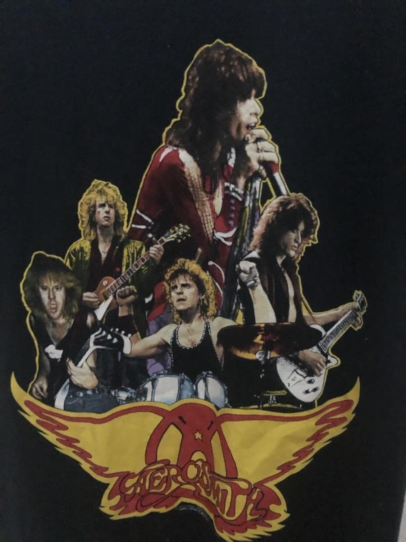 エアロスミス Tシャツ① コピーライトあり（1988年） M
