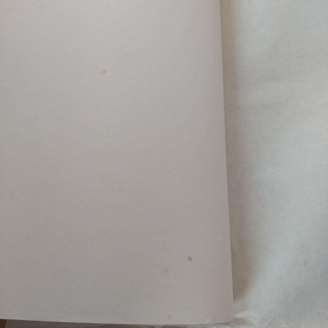 純手漉画仙紙　夾宣紙　８０枚 136×70