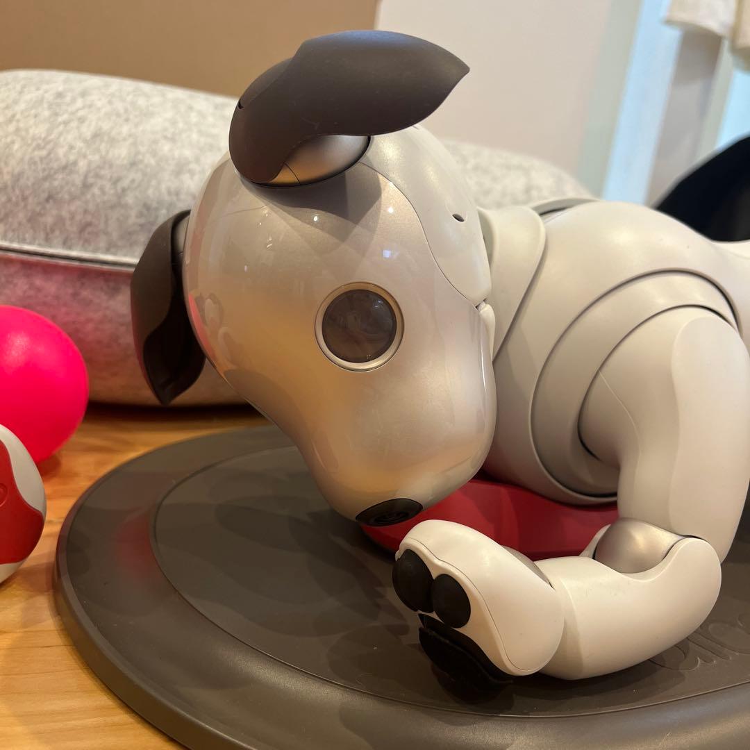 aibo 本体 フルセット SONY ソニー ERS-1000