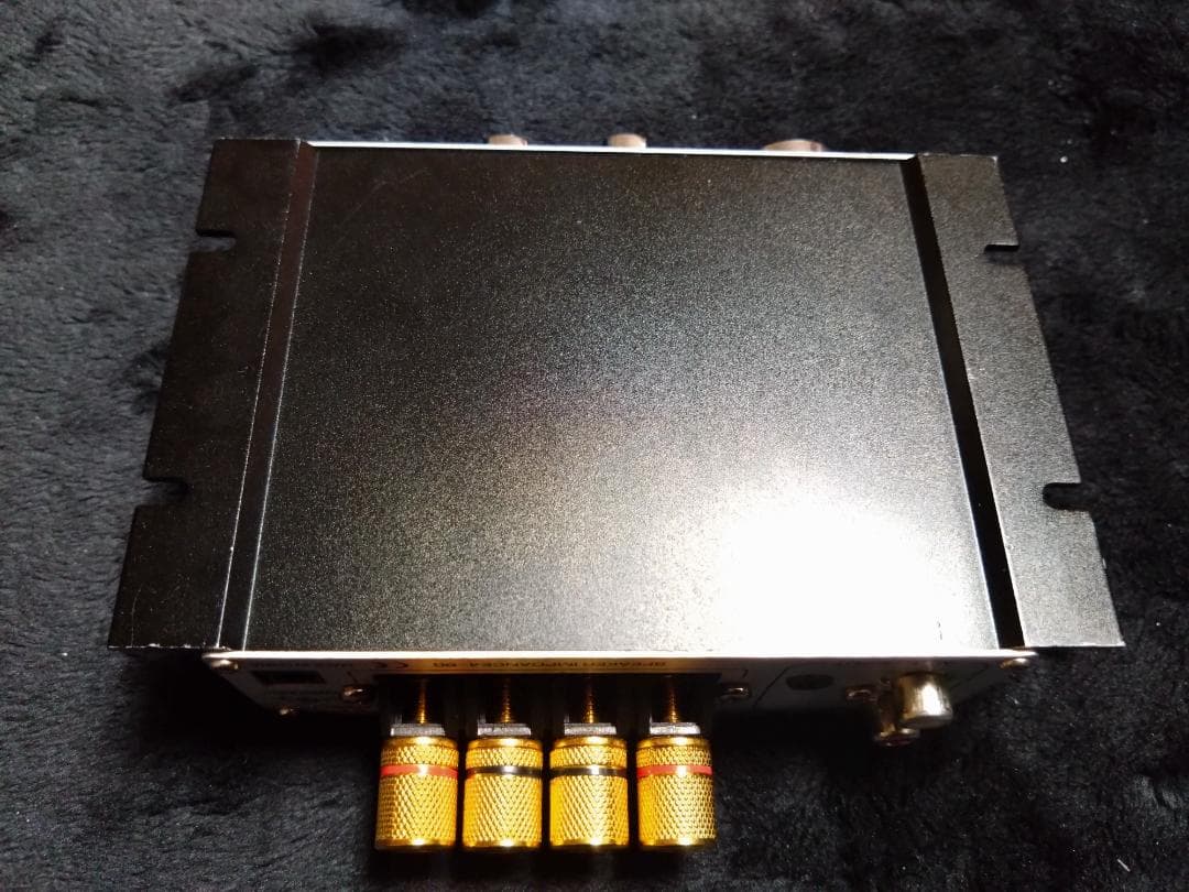 Lepai LP-2020A+ NFJストア別注モデル 第九ロット 改