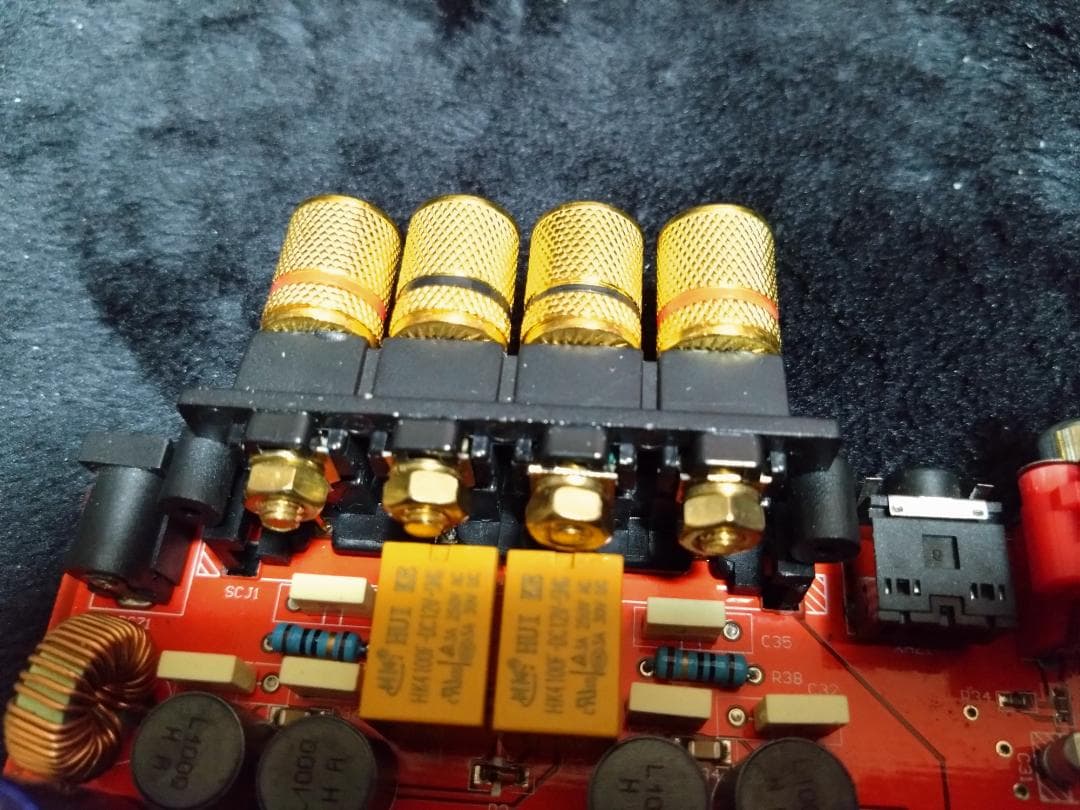 Lepai LP-2020A+ NFJストア別注モデル 第九ロット 改