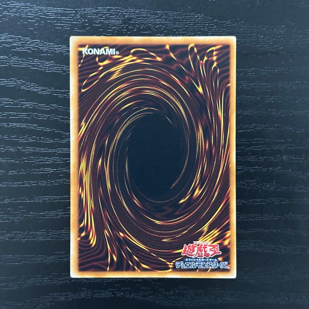 遊戯王 真紅眼の闇竜 レリーフ