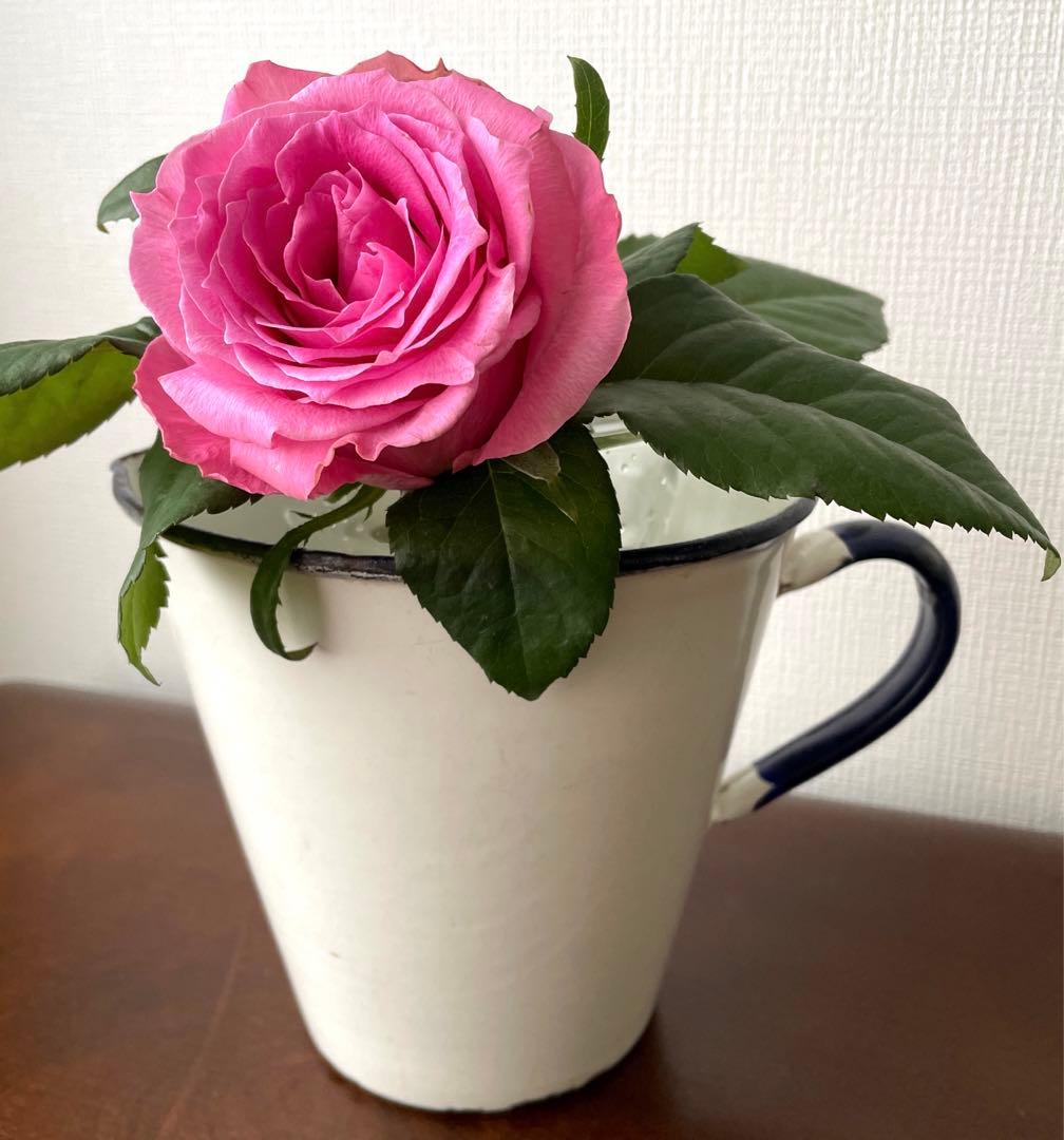 フランスアンティーク　琺瑯ジャグ　100年以上アンティーク　ピッチャー