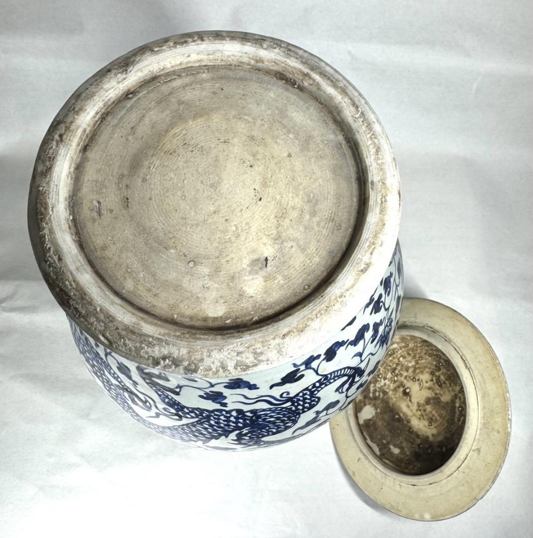 古染付 龍紋獅耳大壷 伝世品焼物 虫食い 青花 呉須 ウブ品 WWTT137