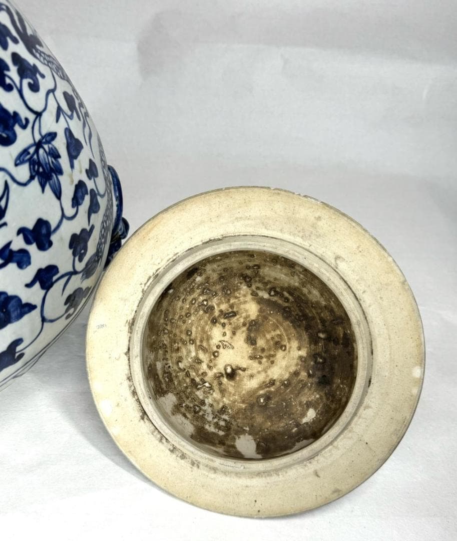 古染付 龍紋獅耳大壷 伝世品焼物 虫食い 青花 呉須 ウブ品 WWTT137